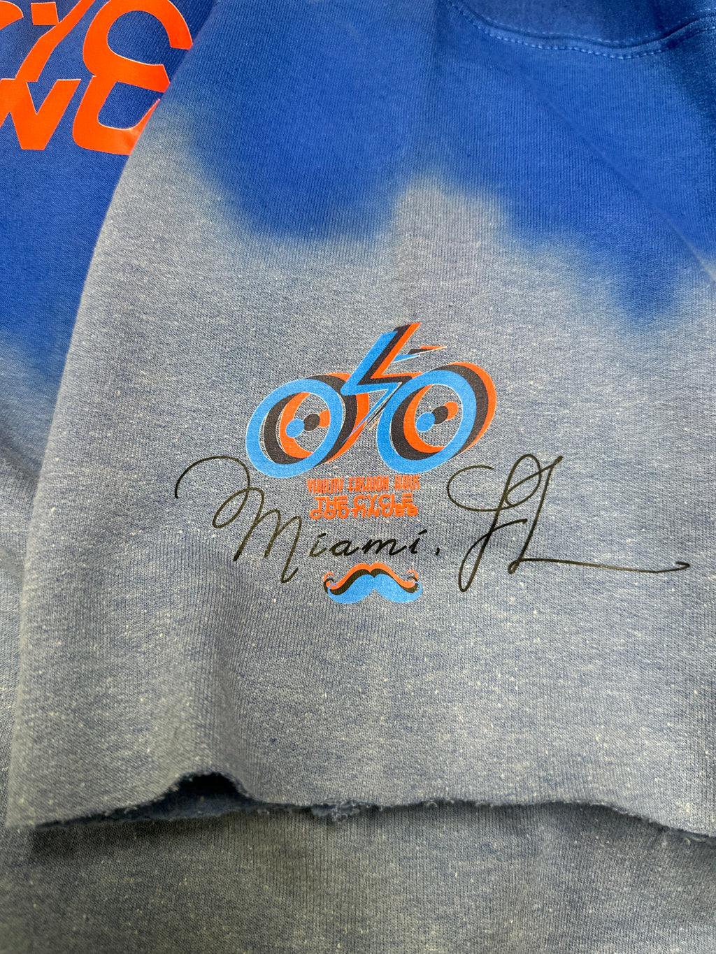 VFH-2026 "VISIONS BLUE-CYCLE"    colors inspired by "BELLY opening screen"